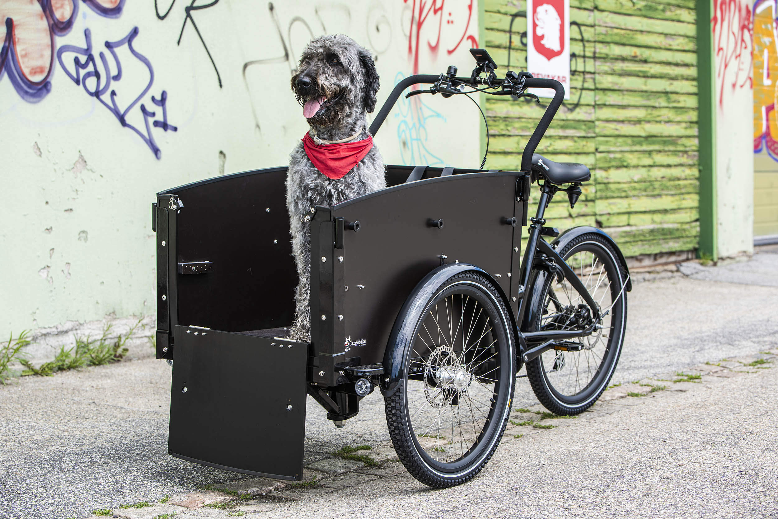 cargo bike dog