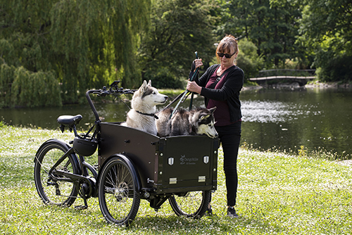 cargobike-sommar-20-10-thumb
