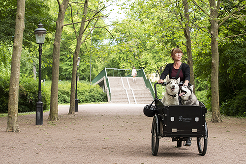 cargobike-sommar-20-4-thumb