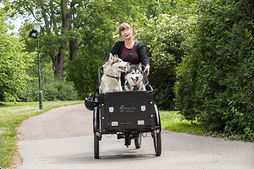 cargobike-sommar-20-6-thumb
