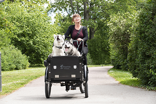 cargobike-sommar-20-8-thumb