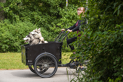 cargobike-sommar-20-9-thumb
