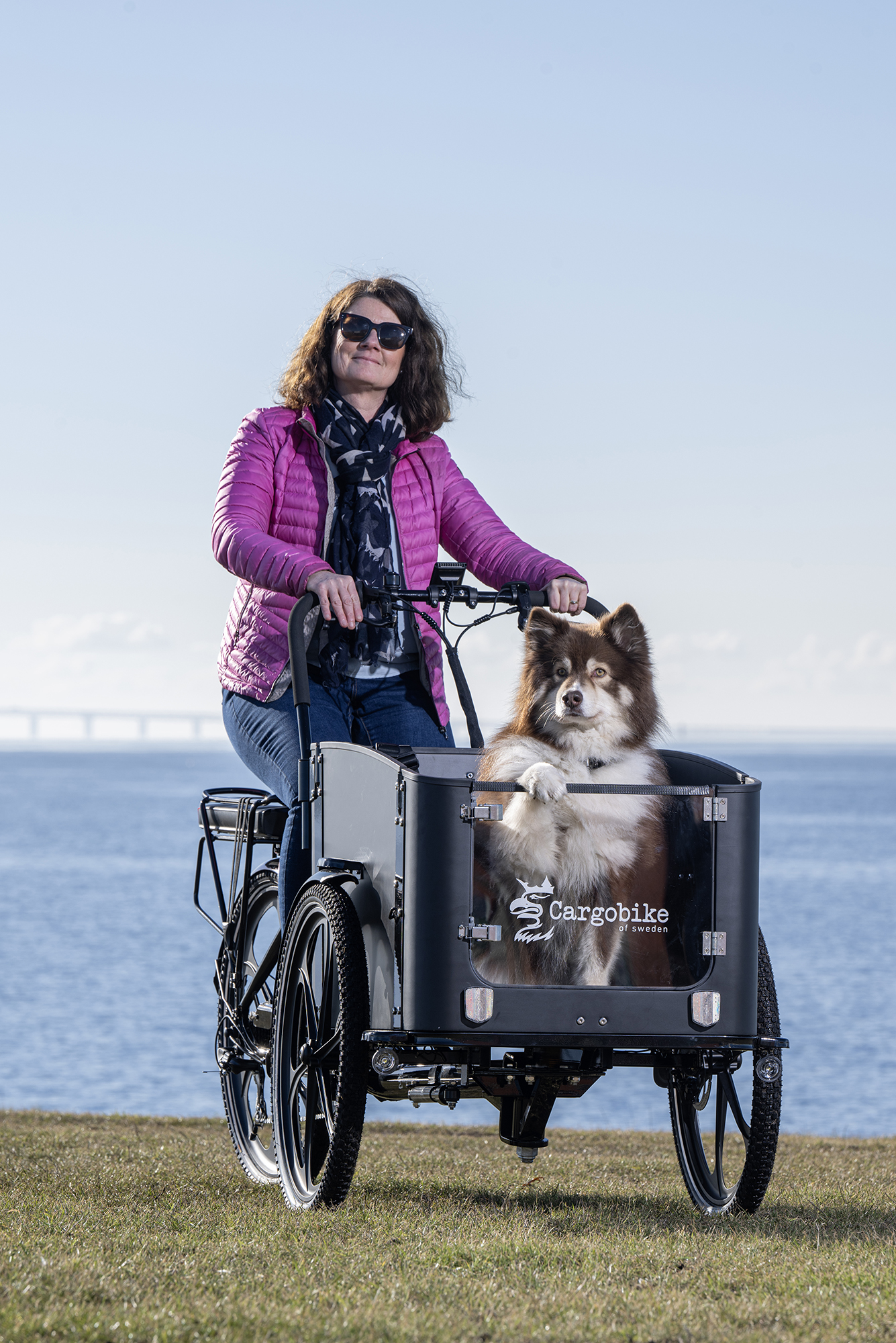 David Elg Moob Cargo dog 2023 9