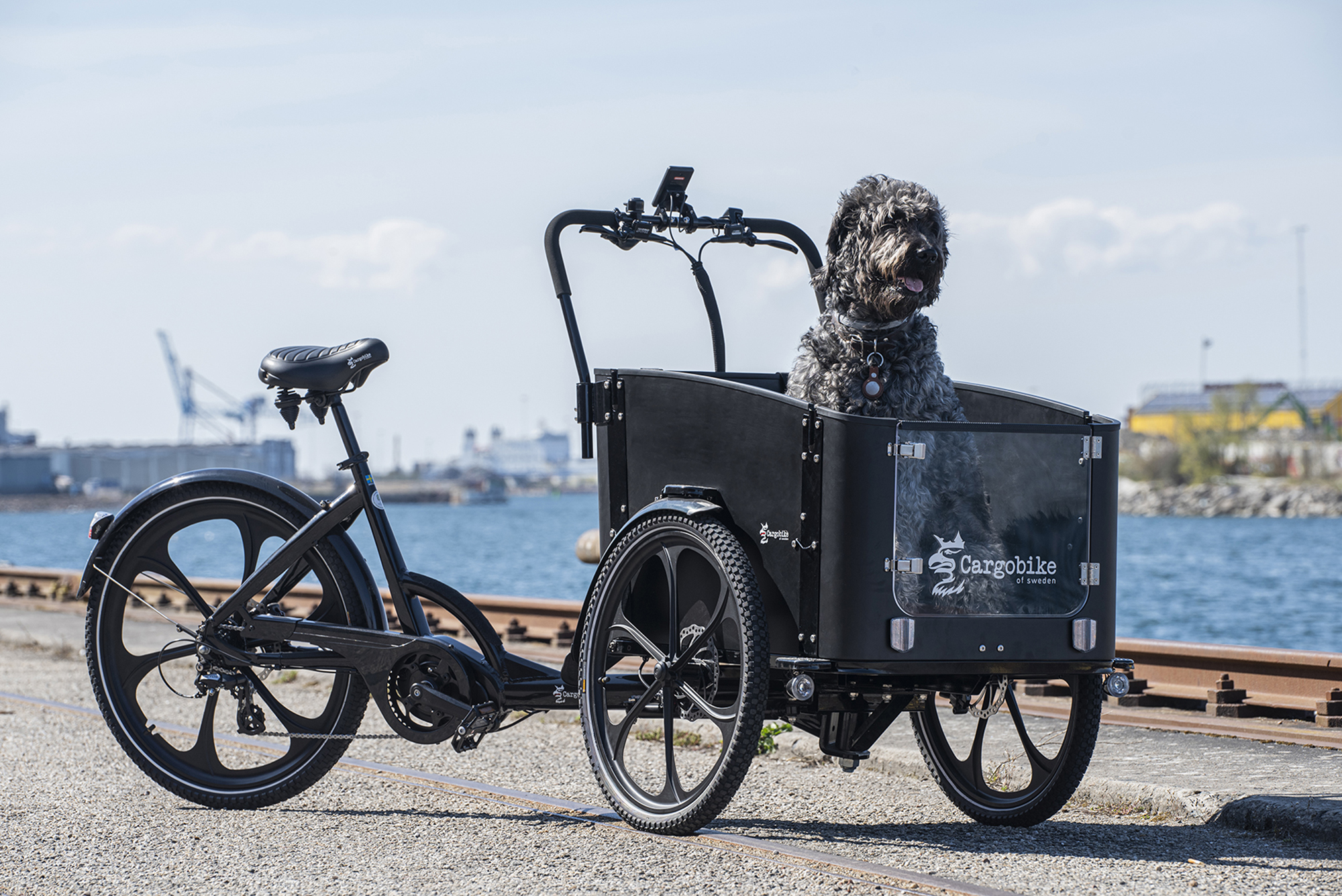 David Elg Moob Delight Dog ludde
